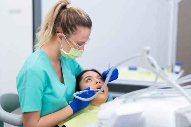 Best Emergency X-Rays and Diagnostics in Moses Lake North, WA
